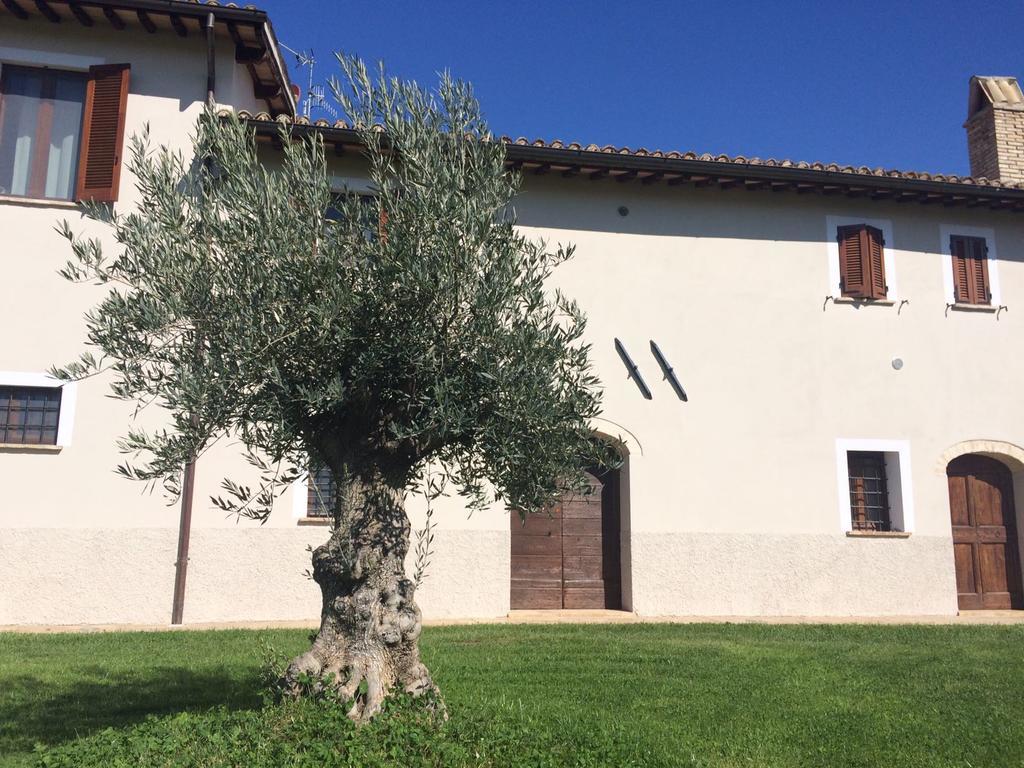 Podere Le Volte Degli Angeli Spello Exteriör bild