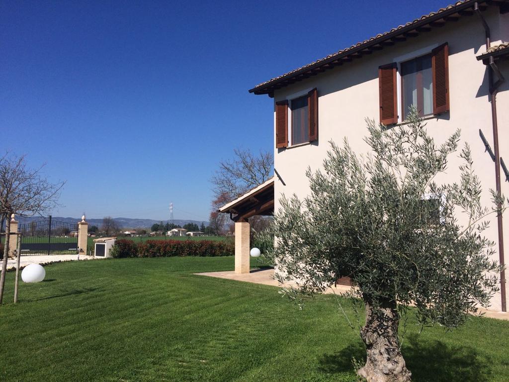 Podere Le Volte Degli Angeli Spello Exteriör bild