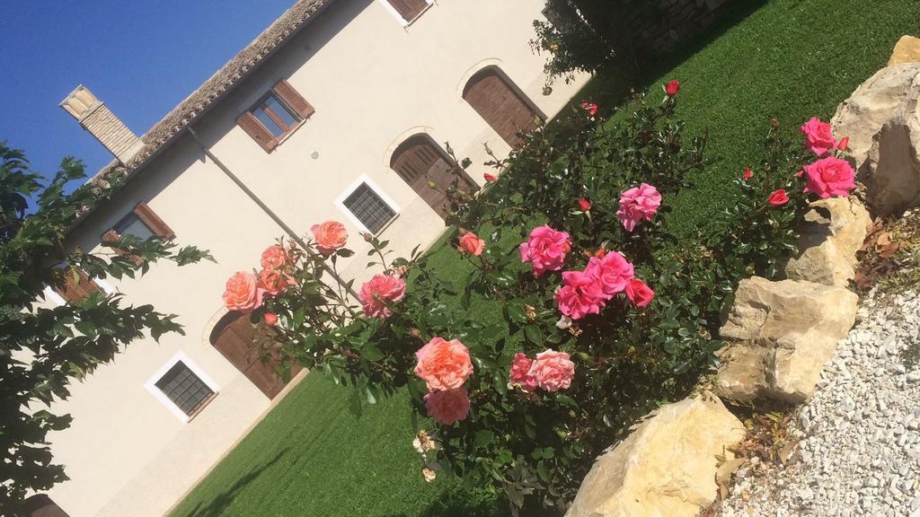 Podere Le Volte Degli Angeli Spello Exteriör bild