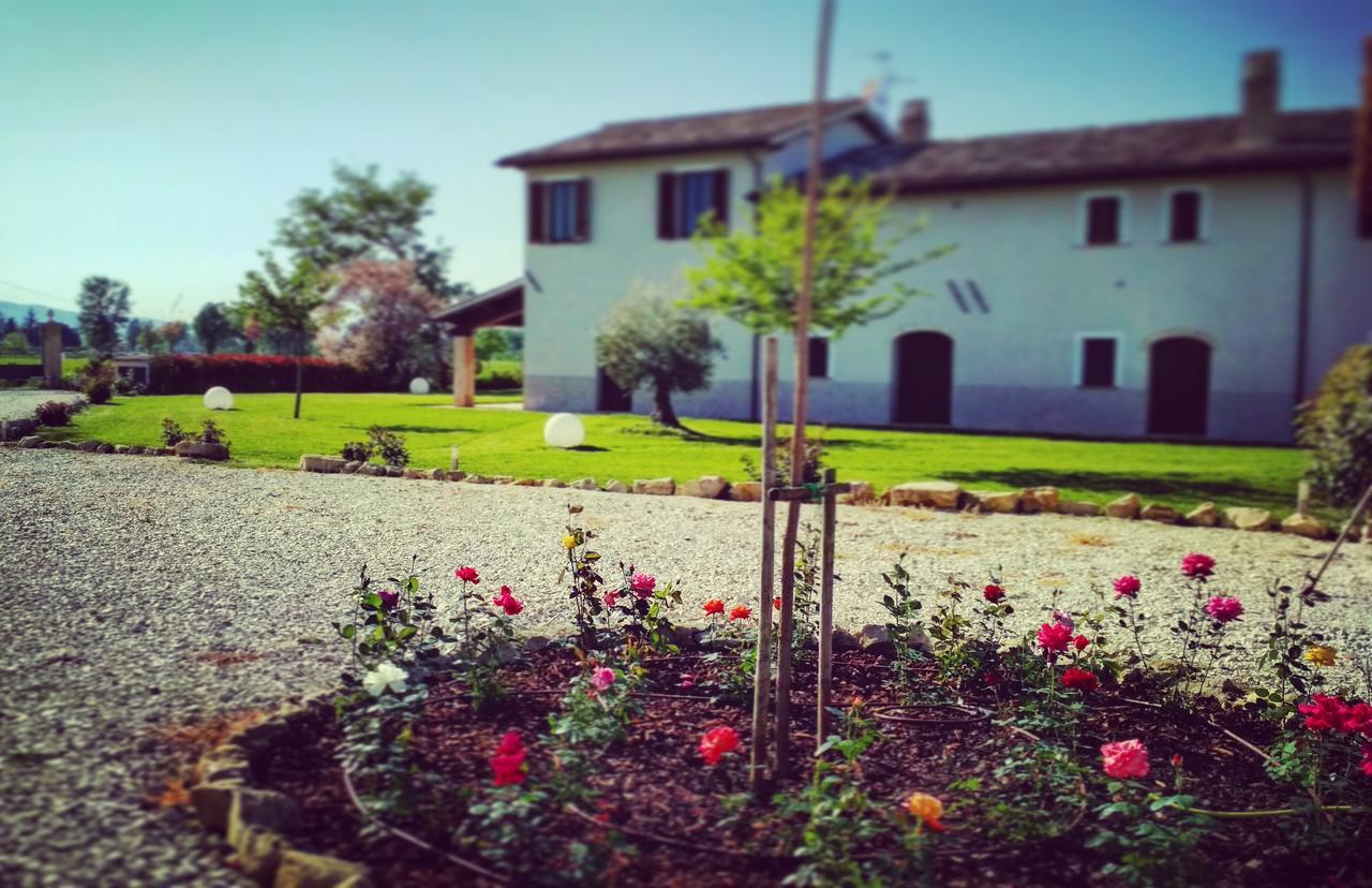 Podere Le Volte Degli Angeli Spello Exteriör bild