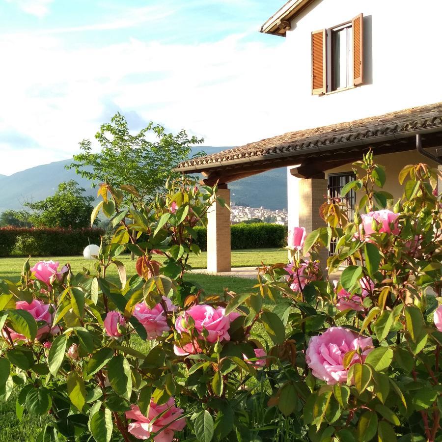 Podere Le Volte Degli Angeli Spello Exteriör bild